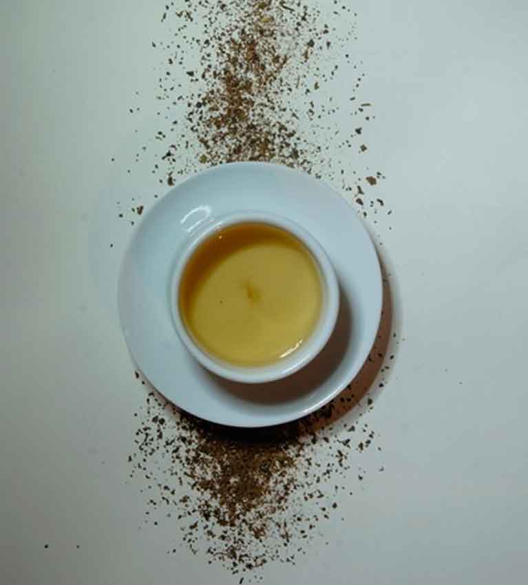 Самый южный чай в мире. Эксперименты семьи Браун.